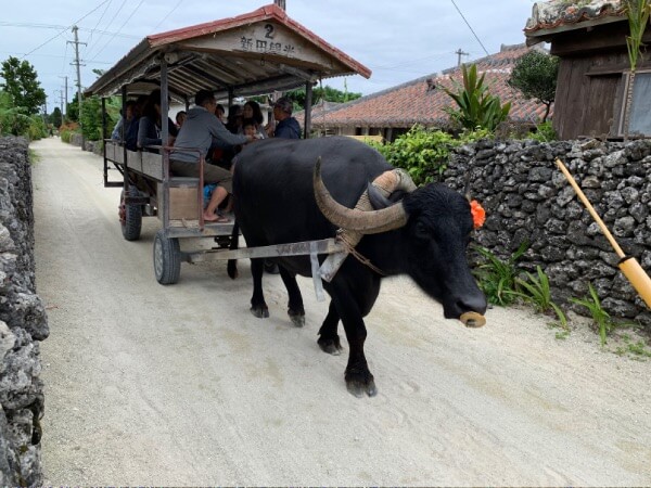 水牛車観光