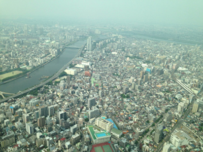 展望台からの眺め